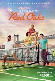 Red Oaks: il poster della terza stagione