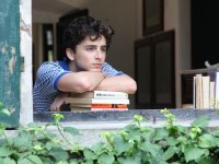 Timothée Chalamet ha fatto arrabbiare il mondo dell'Opera e del balletto: 'Se vuoi ripensarci...'