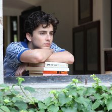 Chiamami col tuo nome: Timothée Chalamet in un momento del film
