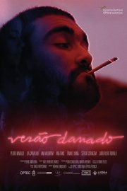 Locandina di Verão Danado