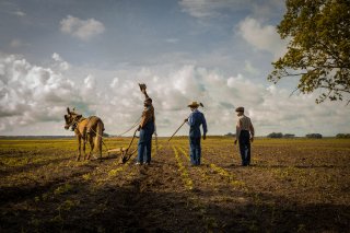 Mudbound: una scena del film firmato Netflix