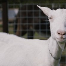 The Wicked Gift: una scena del film