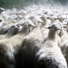 Lorello e Brunello: un'immagine del documentario