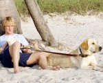 Owen Wilson: 'Nei miei film i cani muoiono sempre'