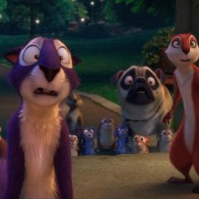 Nut Job - Tutto molto divertente, una foto del film