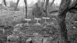 My War Is Not Over - Trailer