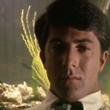 Il laureato: un primo piano di Dustin Hoffman