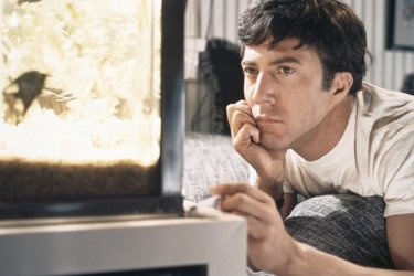 Il laureato: Dustin Hoffman in un momento del film