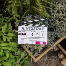Il vegetale: un'immagine dal set del film