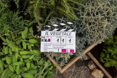 Il vegetale: un'immagine dal set del film