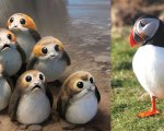 Star Wars: ecco come sono stati inventati i Porg de Gli Ultimi Jedi