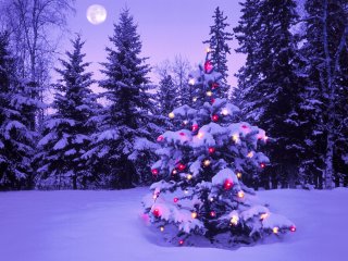 images/2017/12/22/zagabria.jpg