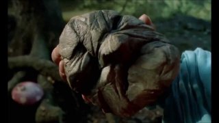 Fantaghirò, la pietra parlante