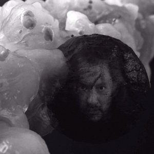 I segreti di Twin Peaks: un'inquietante immagine della terza stagione