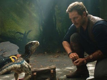Jurassic World: Fallen Kingdom - Chris Pratt in una scena con ina tartaruga