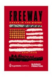Locandina di Freeway: Crack in the System