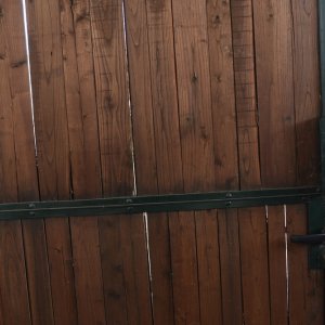 Edhel: Gaia Forte in una scena del film