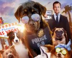 Show Dogs: il divertente trailer della commedia con Will Arnett