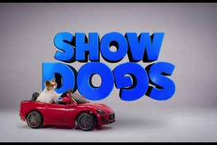 Show Dogs - Trailer