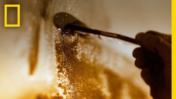 Genius: Picasso - Trailer 