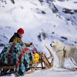 Belle & Sebastien - Amici per sempre: Félix Bossuet in una scena del film