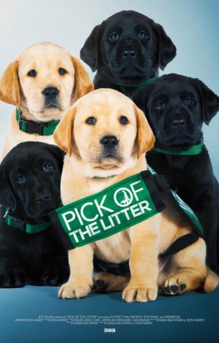 Locandina di Pick of the Litter