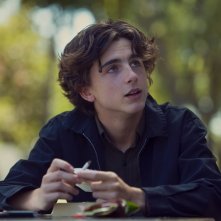 Lady Bird Timothe Chalamet