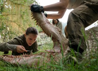 Annientamento: una scena con Natalie Portman