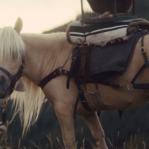 Damsel: una scena del film
