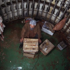 Human, Space, Time and Human: un'immagine del film