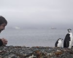 Sanctuary: Javier Bardem tra i pinguini per un nuovo documentario 'sottozero'
