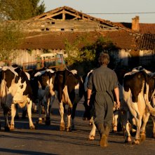 Petit Paysan - Un eroe singolare: Swann Arlaud in una scena del film