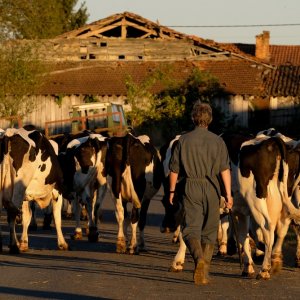 Petit Paysan - Un eroe singolare: Swann Arlaud in una scena del film