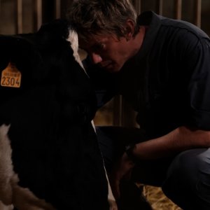 Petit Paysan - Un eroe singolare: Swann Arlaud in un'immagine tratta dal film