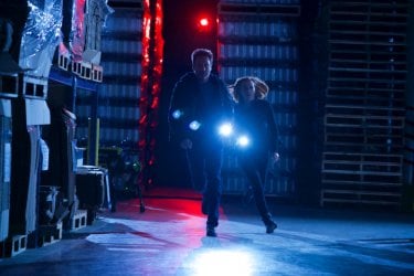 X-Files: Gillian Anderson insieme a David Duchovny nell'episodio Rm9sbG93ZXJz