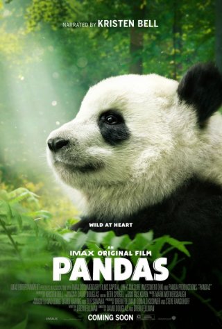 Locandina di Pandas