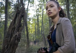 The Walking Dead: un'immagine dell'episodio "Dead or Alive Or"