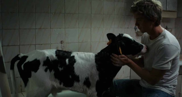 Le Petit Paysan Streaming Vf Petit Paysan, clip in esclusiva del film francese vincitore agli ultimi
