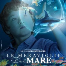 Locandina di Le meraviglie del mare