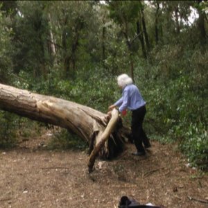 Io sono nulla: Vasco Montez in un'immagine del film