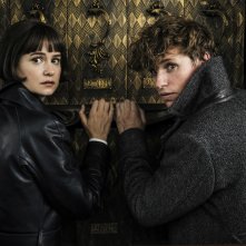 Animali Fantastici: I crimini di Grindelwald, Eddie Redmayne e Katherine Waterston in una foto del film