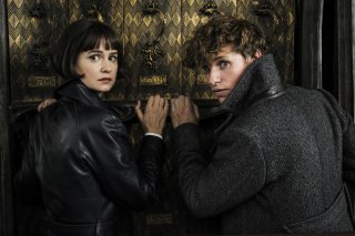 Animali Fantastici: I crimini di Grindelwald, Eddie Redmayne e Katherine Waterston in una foto del film