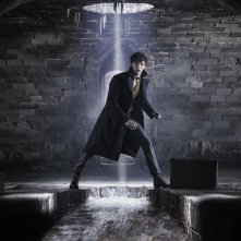 Animali Fantastici: I crimini di Grindelwald, una foto di Eddie Redmayne