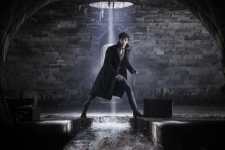 Animali Fantastici: I crimini di Grindelwald, una foto di Eddie Redmayne