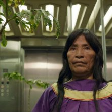 Icaros: A Vision, un'immagine del film