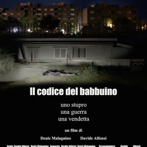 Locandina di Il codice del babbuino
