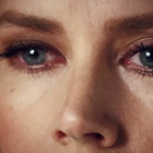 Animali notturni: un primissimo piano di Amy Adams
