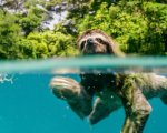 Earth - Un giorno straordinario: Diego Abantatuono ci racconta l'ultimo gioiello naturalistico della BBC