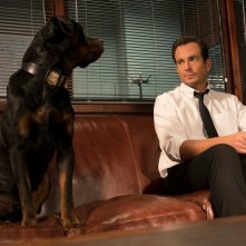 Show Dogs - Entriamo in scena: Will Arnett in un'immagine tratta dal film
