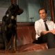 Show Dogs – Entriamo in scena: il buddy cop movie canino tutto da ridere